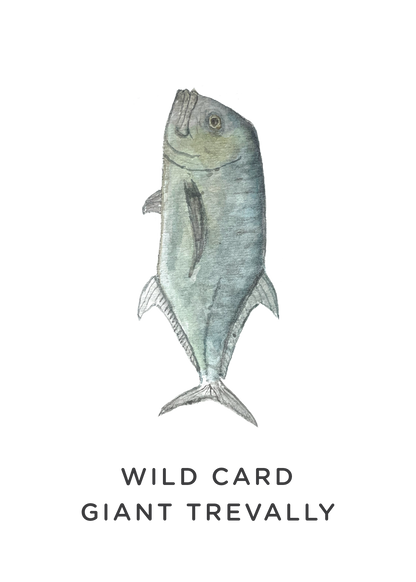 GO FISH by hg